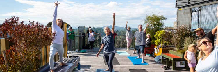 Wellness yoga 2026